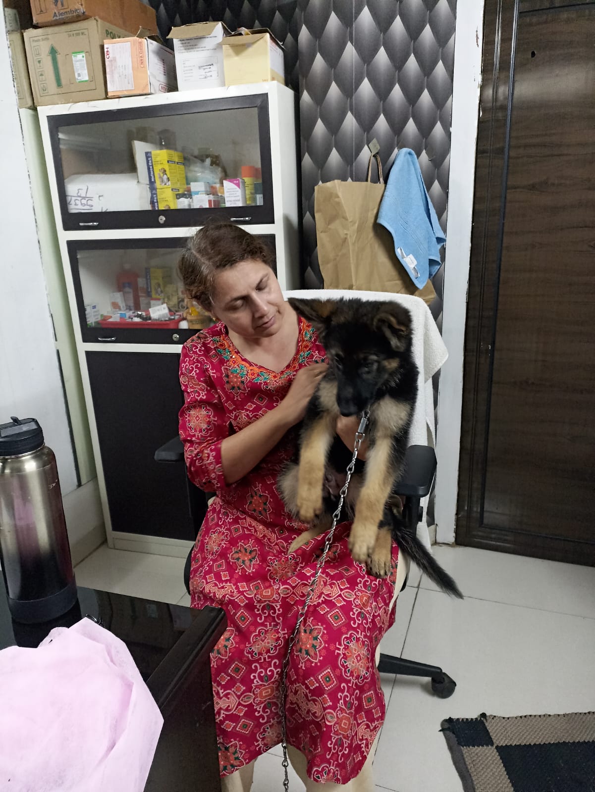 German Shepherd puppy at the clinic